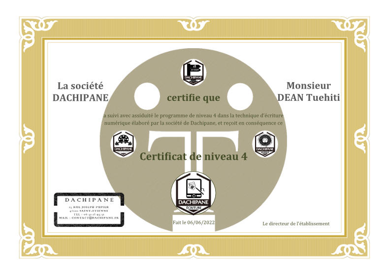 Dachipane : certificat de niveau 4